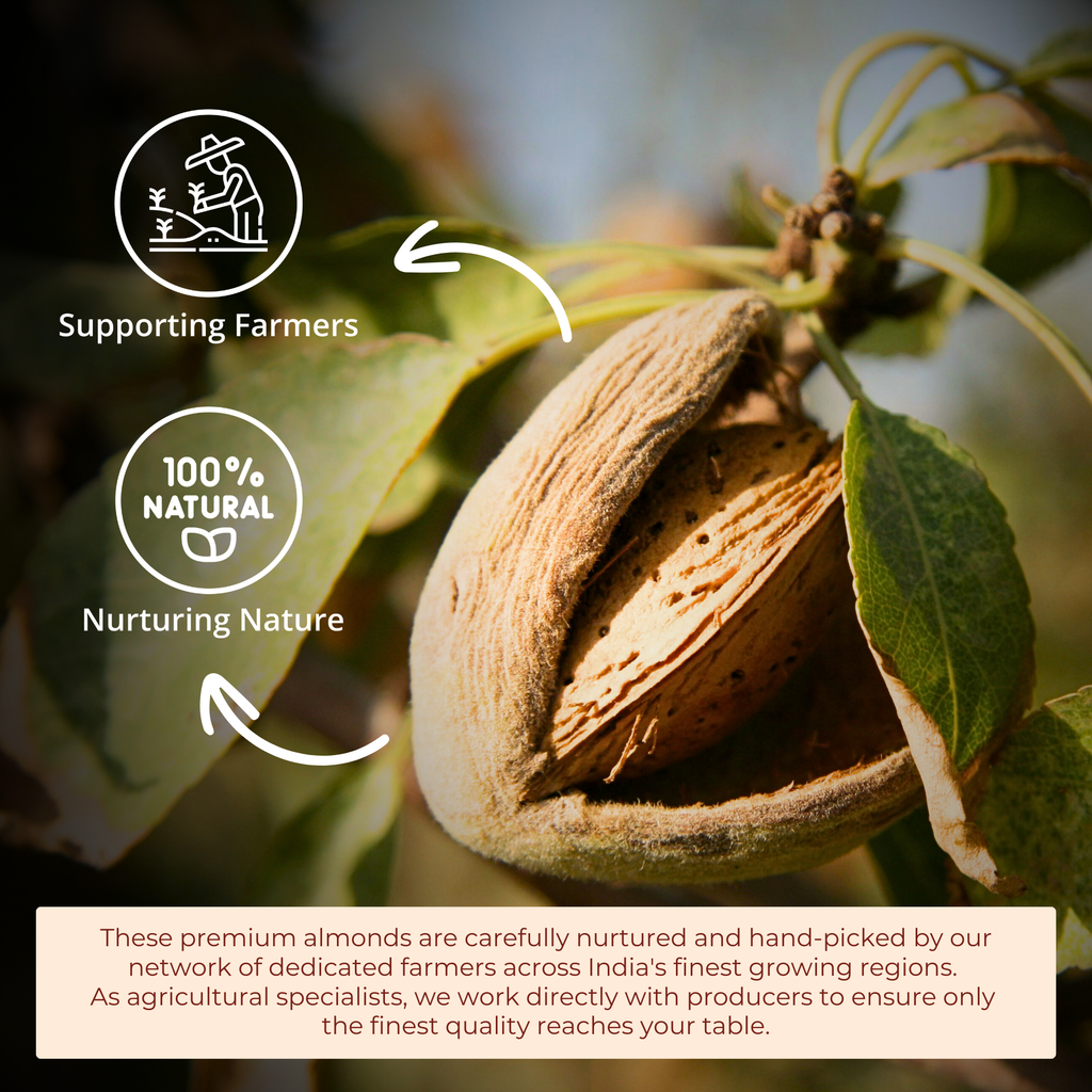 Buy Premium Almonds Online – 100% Natural, Fresh & Healthy | 500g