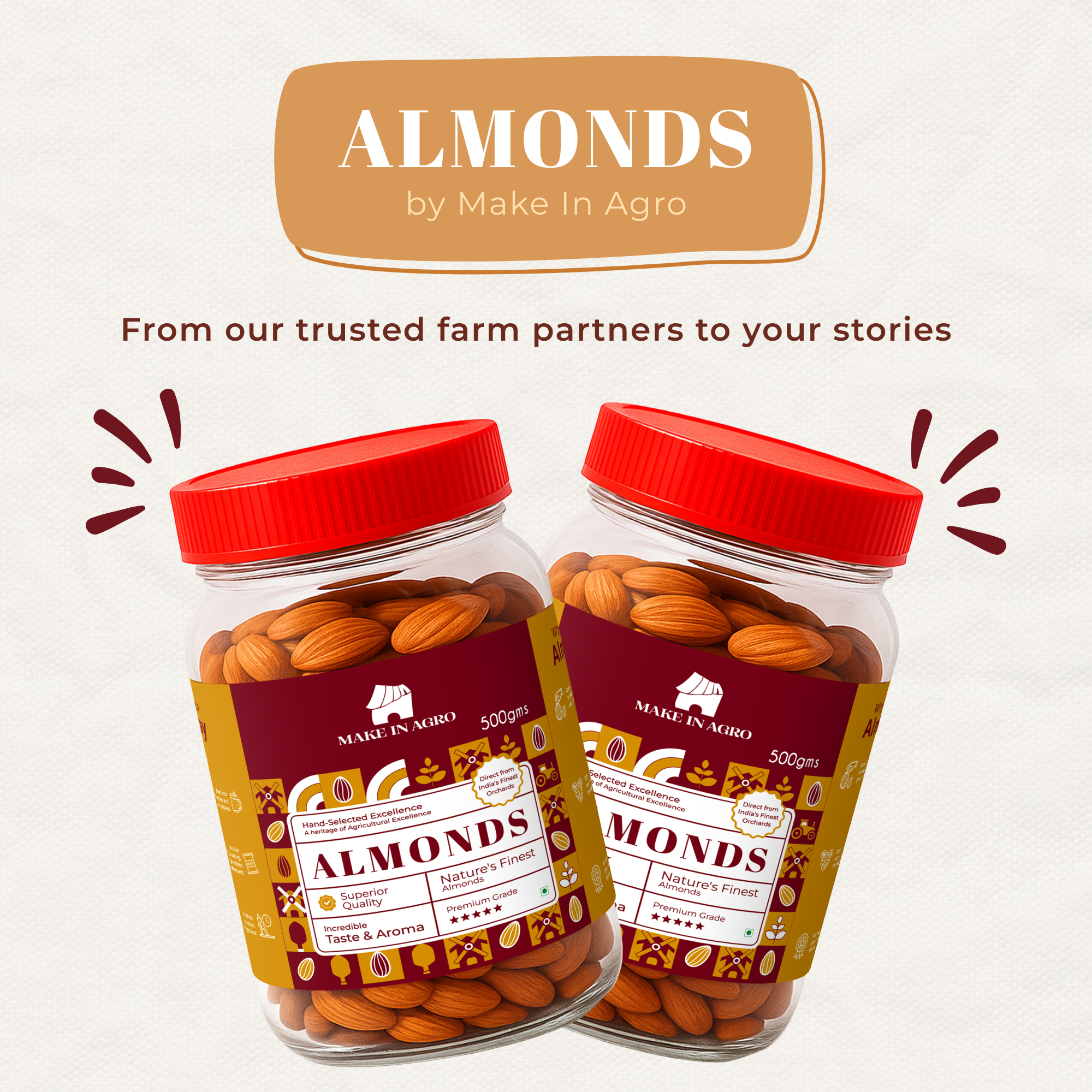 Buy Premium Almonds Online – 100% Natural, Fresh & Healthy | 500g