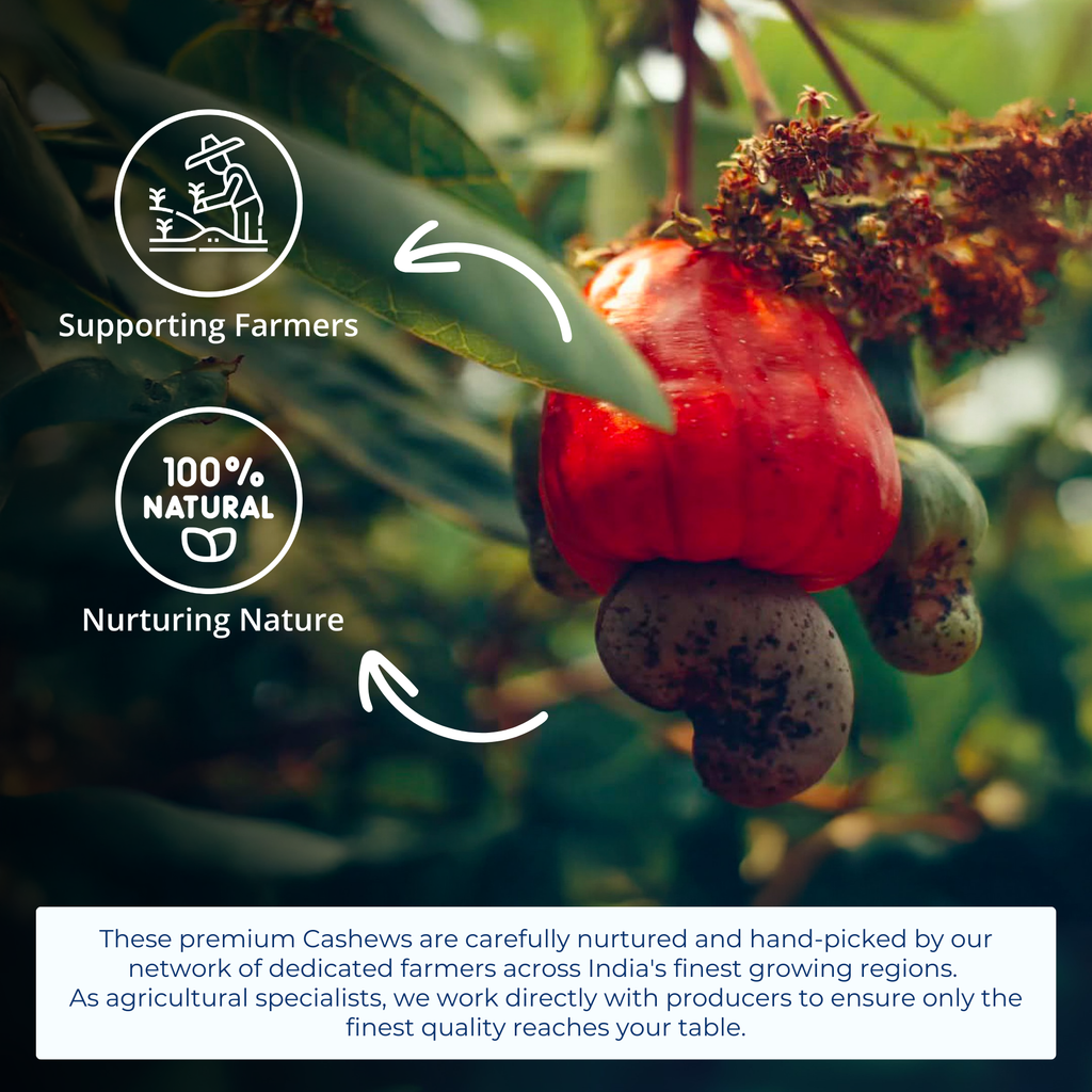 Make_In_Agro_Cashew_500g-05
