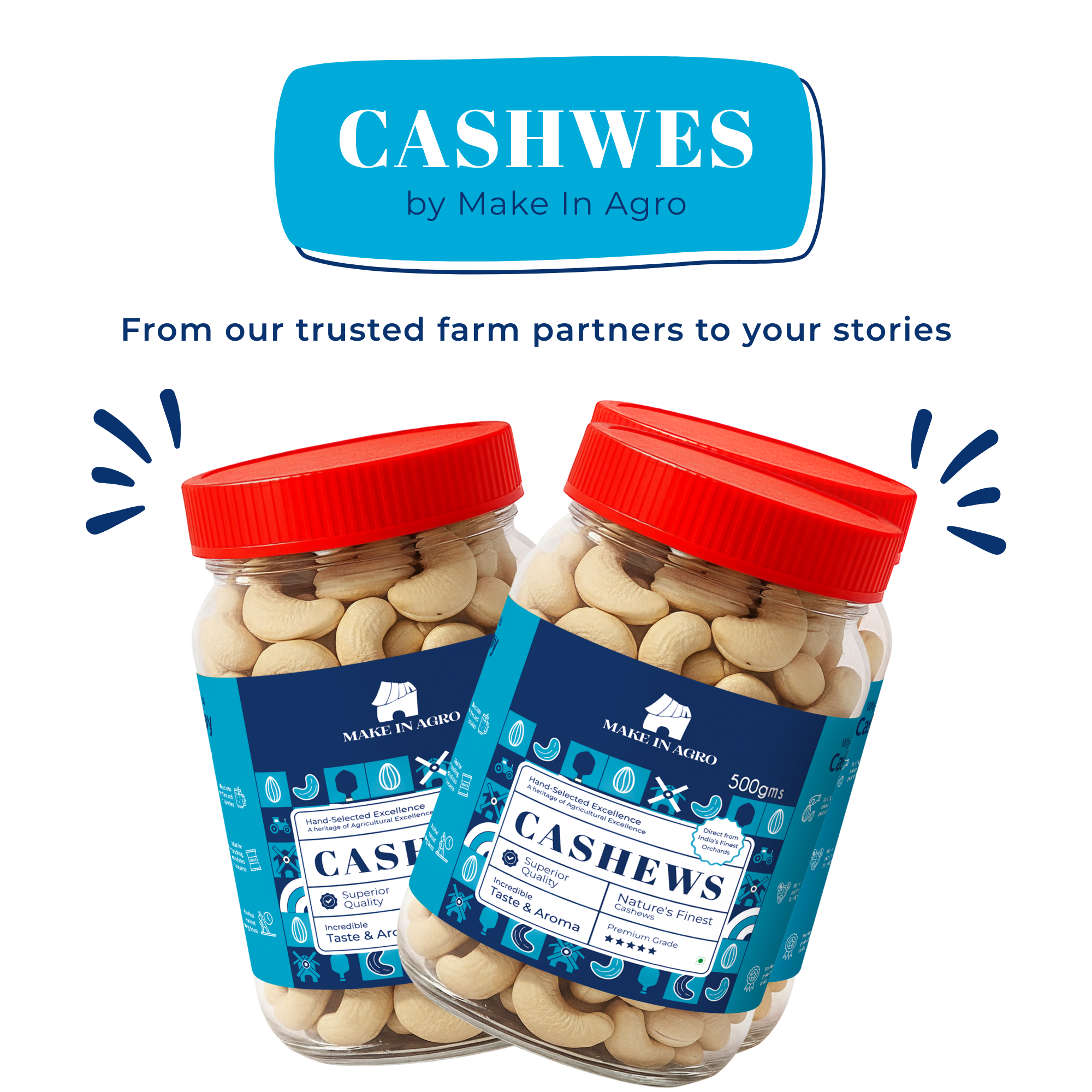 Make_In_Agro_Cashew_500g-06