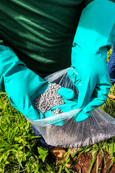 Fertilizer